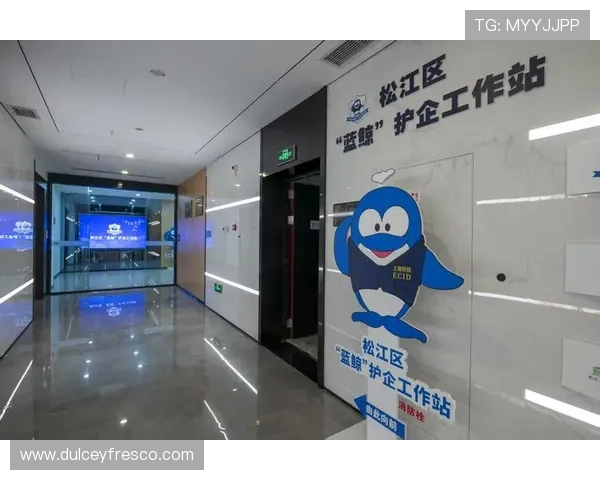 蓝鲸网站登录入口无法访问怎么办详细解决方案与常见问题解析